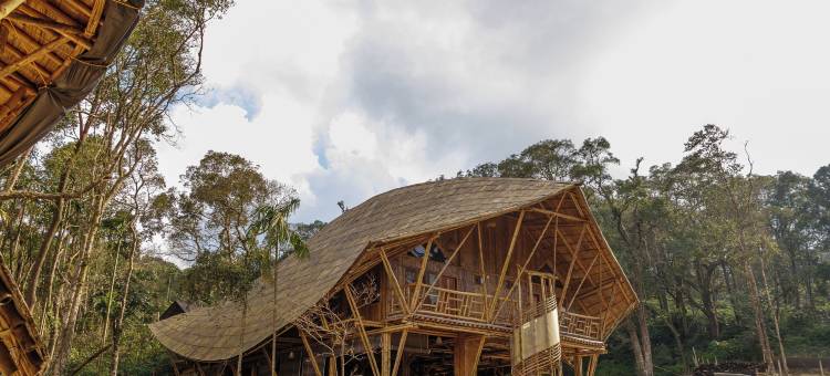 卡蒂卡杜(KaatiKaadu)图片