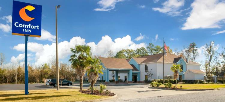 舒适酒店(Comfort Inn)图片