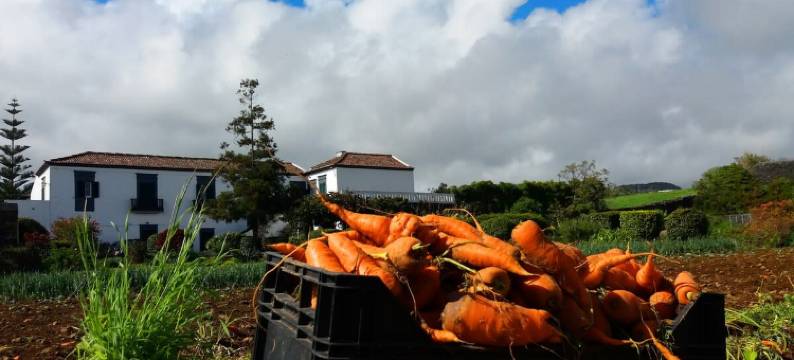 GuestReady - Ninho do Cedro图片