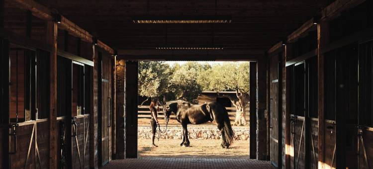 摩尔吉酒店(The Margi)图片