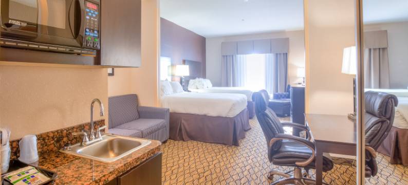 智选假日套房酒店埃尔克城(Holiday Inn Express & Suites ELK CITY by IHG)图片