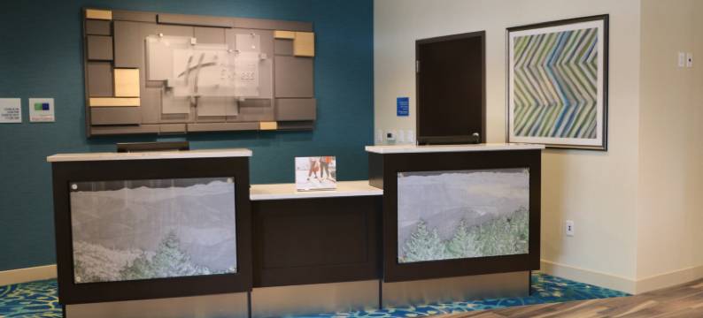 亨德森维尔东南 - 弗拉特罗克洲际智选假日套房酒店(Holiday Inn Express & Suites HENDERSONVILLE SE - FLAT ROCK by IHG)图片