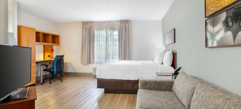 梅恩斯泰套房坦帕莫菲特-南佛罗里达大学(MainStay Suites Tampa Moffitt-USF)图片