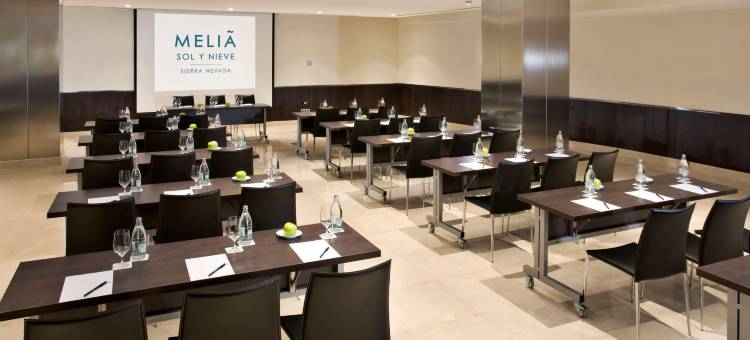 美利亚索勒尼夫酒店(Melia Sol Y Nieve)图片