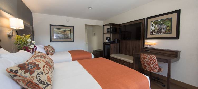 藤蔓酒店(The Vine Inn Davis)图片