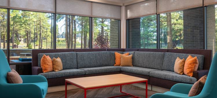 希尔顿惠庭套房酒店费拉格尔斯塔夫(Home2 Suites by Hilton Flagstaff)图片