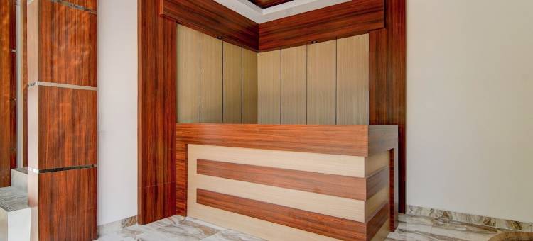 Collection O 94762 星光(Collection O 94762 Starlight)图片