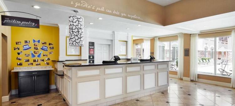 拉斯维加斯亨德森希尔顿花园酒店(Hilton Garden Inn Las Vegas/Henderson)图片