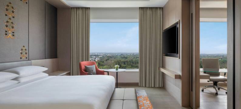 新德里喜来登酒店(Sheraton New Delhi Hotel)图片