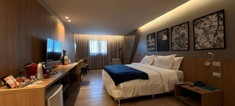 蓝树塔里约波蒂酒店(Blue Tree Towers Rio Poty)图片