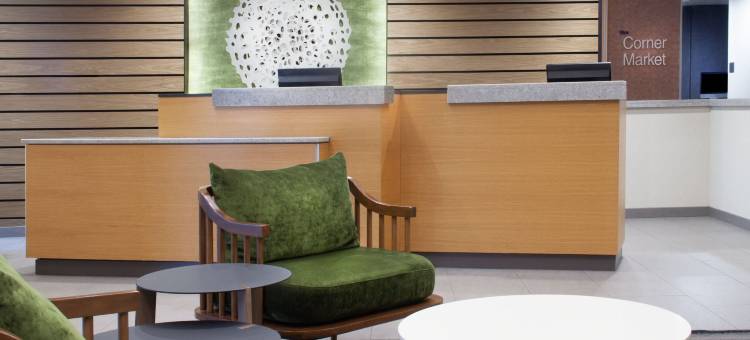 查尔斯顿万枫酒店及套房(Fairfield Inn & Suites Charleston)图片