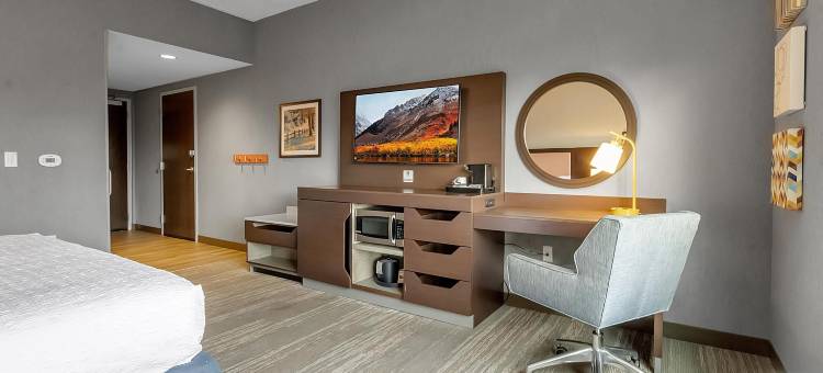 纽约州布法罗-阿姆赫斯特欢朋酒店(Hampton Inn Buffalo - Amherst)图片