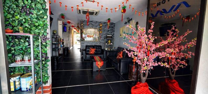 万岁酒店(Hotel Viva)图片