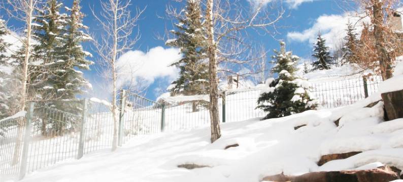 比弗克里克柏悦温泉度假村(Park Hyatt Beaver Creek Resort and Spa)图片