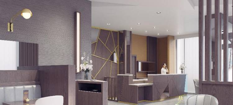 凯文街马尔丹酒店(Maldron Hotel Kevin Street, Dublin City)图片