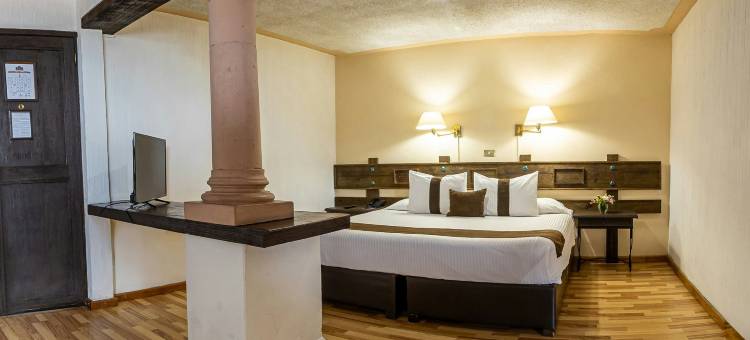 贾拉普广场使命会议酒店(Hotel Misión Xalapa)图片