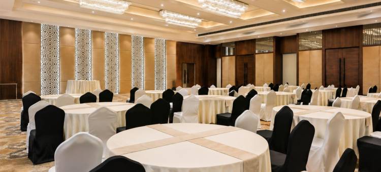 雅佳的丽柏酒店(Hotel Park Inn by Radisson Ayodhya)图片