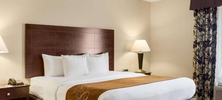 拉皮德城舒适套房酒店及会议中心(Comfort Suites Conference Center Rapid City)图片