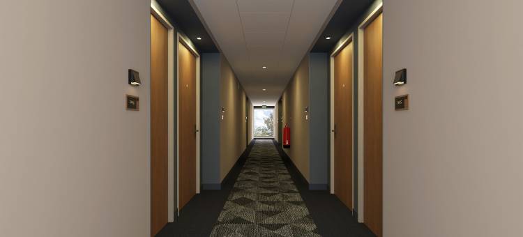 Courtyard by Marriott Torreón图片