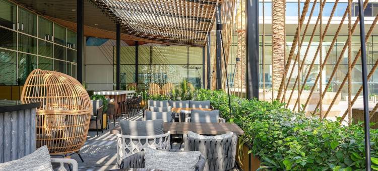 迪拜世贸中心诺富特酒店(Novotel World Trade Centre Dubai)图片