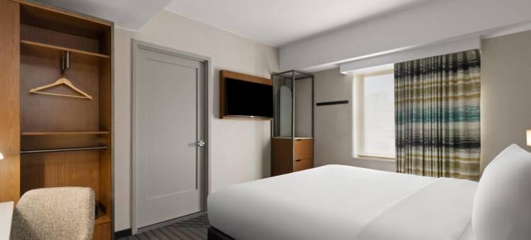 纽约长岛市希尔顿欢朋酒店(Hampton Inn by Hilton Long Island City New York)图片