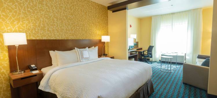 贝城万枫酒店及套房(Fairfield Inn & Suites Bay City)图片