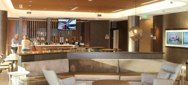 巴尔的摩白沼泽中河SpringHill Suites酒店(SpringHill Suites Baltimore White Marsh/Middle River)图片
