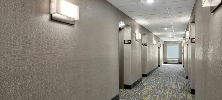 拉夫金希尔顿欢朋套房酒店(Hampton Inn & Suites Lufkin)图片