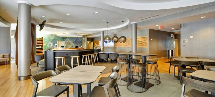 塔拉哈西中央万豪SpringHill酒店(SpringHill Suites Tallahassee Central)图片