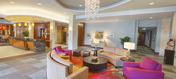 休斯顿市区Homewood Suites by Hilton(Homewood Suites by Hilton Houston Downtown)图片