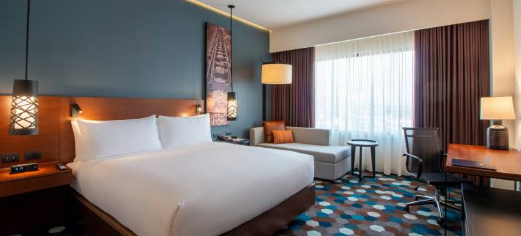 塞拉亚希尔顿逸林酒店(DoubleTree by Hilton Celaya)图片