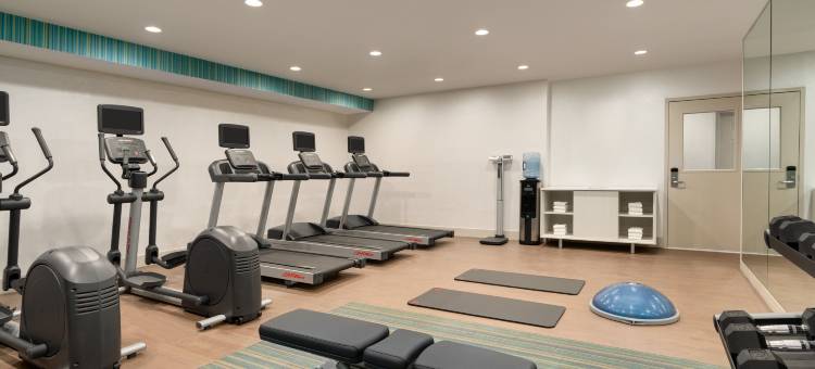 纽约智选假日酒店-牙买加-肯尼迪机场(Holiday Inn Express Jamaica - JFK Airtrain - NYC)图片