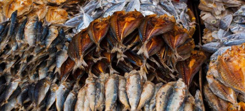 哥本哈根东边公寓(Copenhagen East Residences)图片