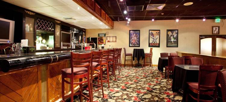 什里夫波特中心假日酒店(Holiday Inn Shreveport Downtown)图片