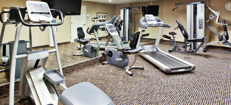 智选假日套房酒店巴吞鲁日东(Holiday Inn Express & Suites Baton Rouge East)图片