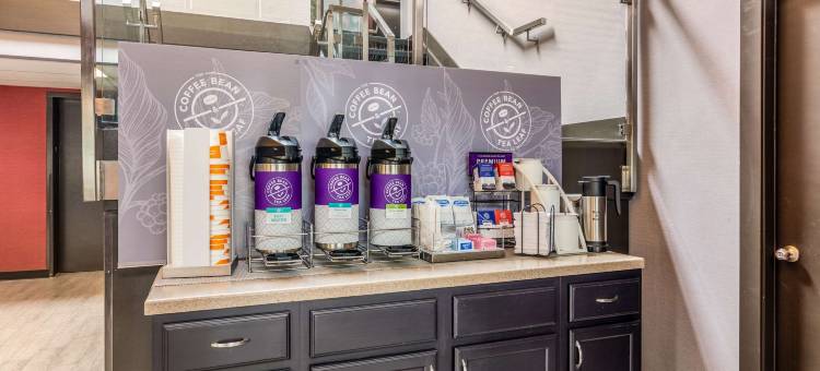 詹姆斯敦福尔科纳克拉丽奥波因特饭店(Clarion Pointe Jamestown - Falconer)图片