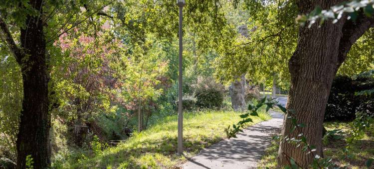 原生系列图卢斯南部伊诺斯塔酒店(The Originals Access, Hôtel Innostar)图片