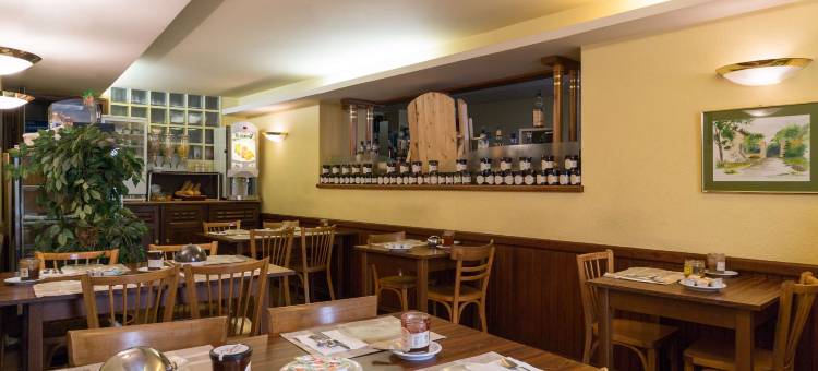 贝辛加尔唐普河畔法兰西原生酒店(The Originals City Hôtel de France Bessines-Sur-Gartempe)图片