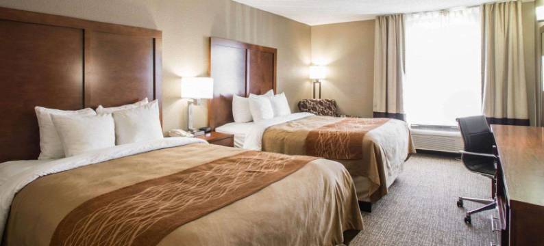 圣路易斯 - 黑泽尔伍德舒适套房酒店(Comfort Inn & Suites St Louis-Hazelwood)图片