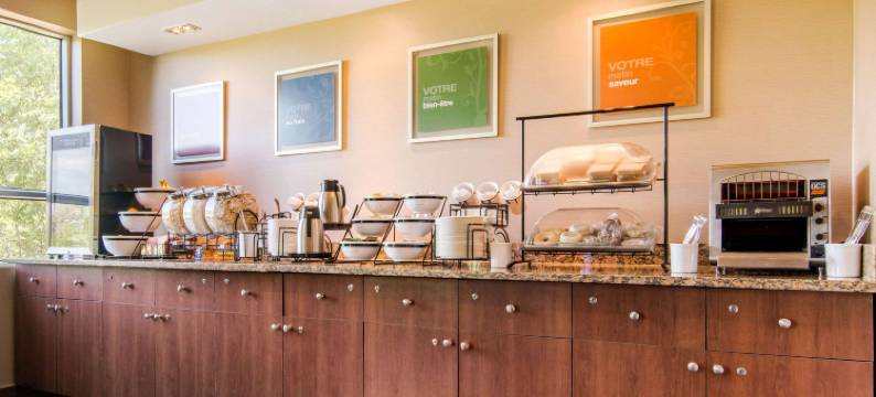 舒适套房酒店(Comfort Inn & Suites Shawinigan)图片