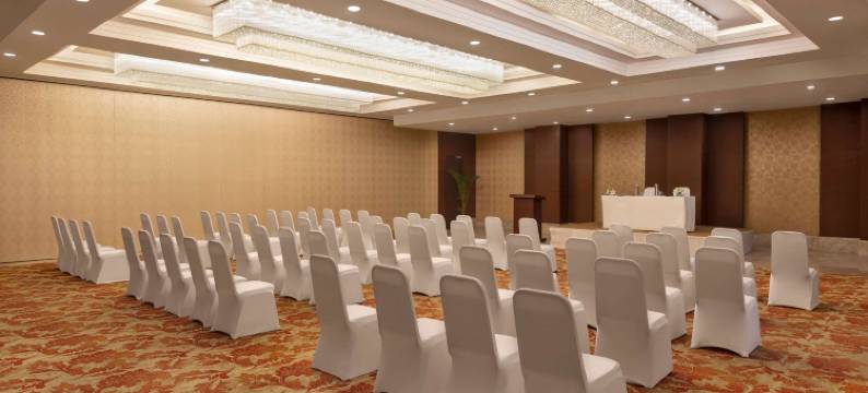 新德里皮坦普拉温德姆华美达酒店(Ramada by Wyndham New Delhi Pitampura)图片