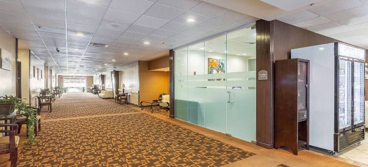 凯隆酒店(Clarion Hotel San Angelo Near Convention Center)图片