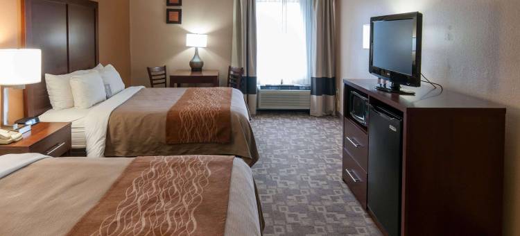 舒适酒店(Comfort Inn North Conroe)图片