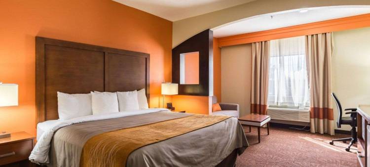 东休斯顿I-10伊克诺套房酒店(Econo Lodge Inn & Suites East Houston I-10)图片