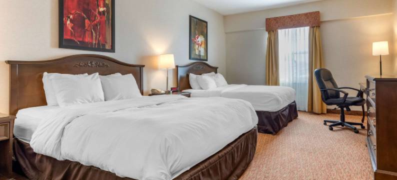 村庄旅馆及套房(Village Inn & Suites)图片