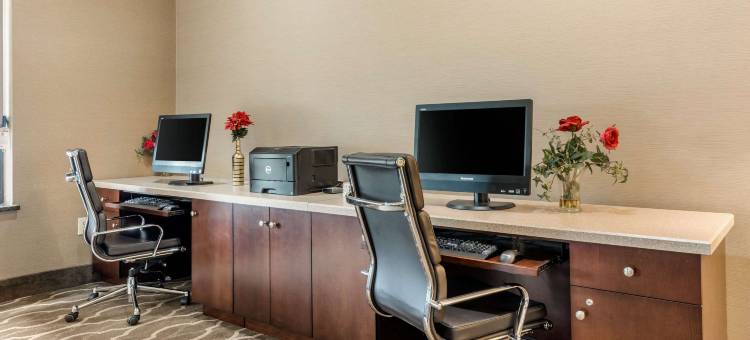 代顿赖特帕特森舒适酒店(Comfort Suites Dayton-Wright Patterson)图片