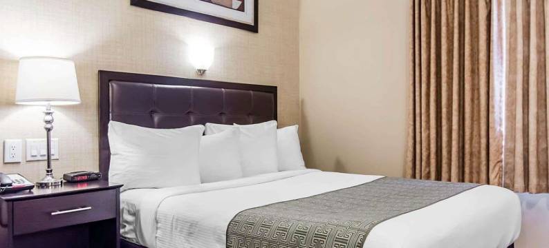 凯艺酒店(Quality Inn)图片