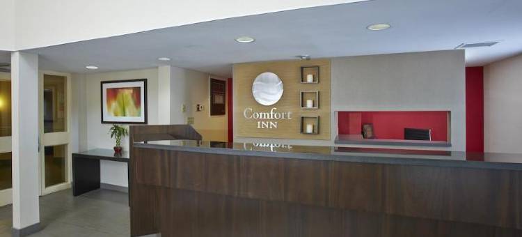 南方舒适酒店(Comfort Inn South)图片