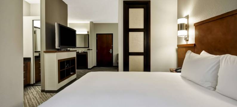 坦帕机场 - 韦斯特肖尔凯悦嘉轩酒店(Hyatt Place Tampa Airport)图片