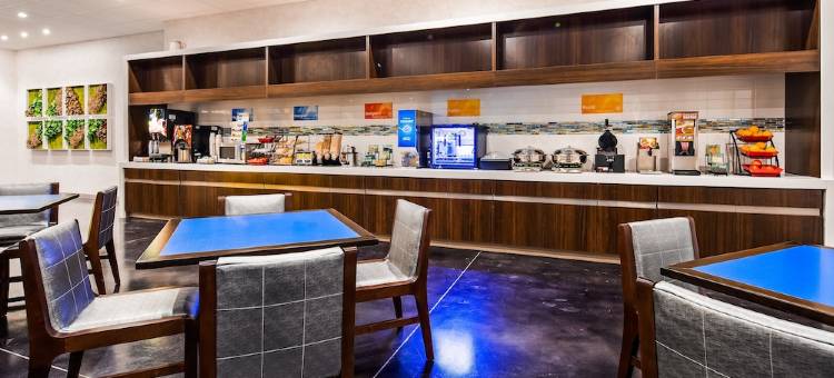达拉斯迪索托格洛贝斯特韦斯特酒店(GLo Best Western DeSoto Dallas)图片